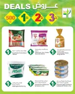 الانتقال إلى الصفحة 5 من 13