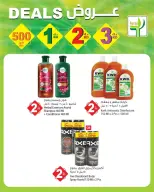 الانتقال إلى الصفحة 12 من 13