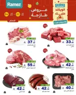 الانتقال إلى الصفحة 13 من 14