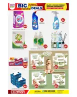 الانتقال إلى الصفحة 12 من 15