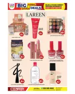 الانتقال إلى الصفحة 13 من 15