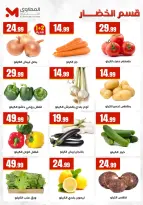 الانتقال إلى الصفحة 9 من 31