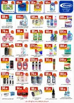 الانتقال إلى الصفحة 25 من 31