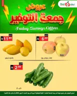 الانتقال إلى الصفحة 3 من 11