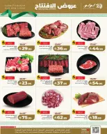 Lulu Express Saudi Arabia offers in Al Faisaliah from 1 to 7 April 2026 Opening Deals - Page 6