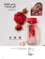 عروض أفون مصر من ١ حتى ٣٠ أبريل ٢٠٢٦ تألقي بإشراقة مميزة - أفون - مصر - 1 ابريل 2026 – 30 ابريل 2026 - صفحة 62