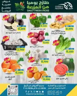 Meem Market Kuwait offers from 5 to 7 April 2026 Vegetable and fruit offers - Page 1