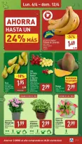 Offres ALDI Espagne de 6 à 12 avril 2026 Comme il coûte peu d'acheter bien ! - ALDI - Espagne - 6 avril 2026 – 12 avril 2026 - Page 3