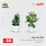 La Oferta de los 50 EGP en Raneen, del 7 al 8 abril 2026 - Página 48