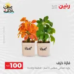 عرض ال 100 جنيه فى رنين من ٧ حتى ٨ أبريل ٢٠٢٦ - صفحة 51