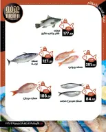 Ofertas de Mercado de Arafa Egipto Fayoum de 8 a 9 abril 2026 Venta de pescado - Página 3