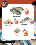 Ofertas de Mercado de Arafa Egipto Fayoum de 8 a 9 abril 2026 Venta de pescado - Página 2