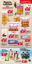 Ofertas de Dia España de 8 a 14 abril 2026 Ahorro a lo grande Ofertas - Dia - España - 8 abril 2026 – 14 abril 2026 - Página 13