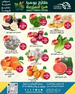 Meem Market Kuwait offers from 8 to 11 April 2026 Vegetable and fruit offers - Page 1