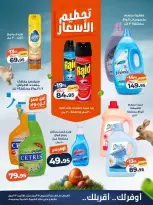 Kazyon Market Egypt offers from 9 to 13 April 2026 Price smashing - Page 3