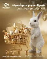 عروض سراي ماركت مصر من ٩ حتى ١٥ أبريل ٢٠٢٦ عروض شم النسيم - سراي ماركت - مصر - 9 ابريل 2026 – 15 ابريل 2026 - صفحة 1