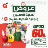 Panda Egypt offers from 9 to 13 April 2026 Weekend Deals - Page 1