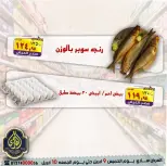 عروض نهاية الإسبوع فى الصردى جملة ماركت من ٩ حتى ١٠ أبريل ٢٠٢٦ - الصردى جملة ماركت - مصر - 9 ابريل 2026 – 10 ابريل 2026 - صفحة 2