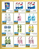 عروض جمعية بيان التعاونية الكويت من ١١ حتى ١٥ أبريل ٢٠٢٦ عروض المنظفات - صفحة 2