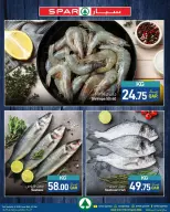 Ofertas de SPAR Katar de 9 a 11 abril 2026 Nuevas ofertas - SPAR - Katar - 9 abril 2026 – 11 abril 2026 - Página 3