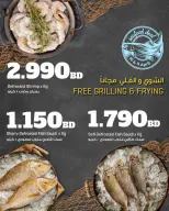 Ofertas de Centro Sultán Bahréin de 10 a 11 abril 2026 Ofertas de pescado - Centro Sultán - Bahréin - 10 abril 2026 – 11 abril 2026 - Página 1