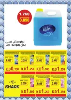 MNF co-op Kuwait offers from 11 to 16 April 2026 Central Market offer - MNF co-op - Kuwait - 11 April 2026 – 16 April 2026 - Page 17