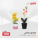 عروض هدايا وديكورات فى رنين من ١٢ حتى ١٣ أبريل ٢٠٢٦ - صفحة 53