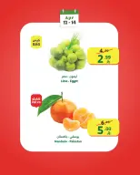 عروض الراية ماركت السعودية من ٢٤ حتى ٢٦ شوال ١٤٤٧ هـ (١٢ إلى ١٤ أبريل ٢٠٢٦) عروض بداية الأسبوع - الراية ماركت - السعودية - 12 ابريل 2026 – 14 ابريل 2026 - صفحة 11