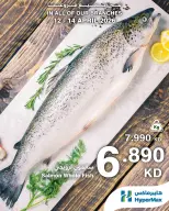 عروض هايبر ماكس الكويت من ١٢ حتى ١٤ أبريل ٢٠٢٦ عروض الطازج - صفحة 5