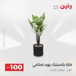 La Oferta de los 100 EGP en Raneen, del 14 al 15 abril 2026 - Página 66
