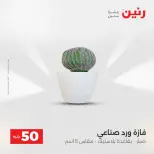 عرض ال 50 جنيه فى رنين من ١٤ حتى ١٥ أبريل ٢٠٢٦ - صفحة 57