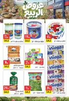 عروض الربيع فى المحلاوى ماركت من ١٢ حتى ٢٧ أبريل ٢٠٢٦ - المحلاوى ماركت - مصر - 12 ابريل 2026 – 27 ابريل 2026 - صفحة 5