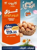 Kazyon Market Egypt offers Wednesday 15 April 2026 One day offer - Page 2