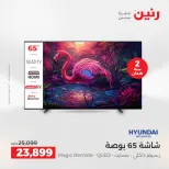 عروض الأجهزة الكهربائية فى رنين من ١٦ حتى ١٨ أبريل ٢٠٢٦ - صفحة 2