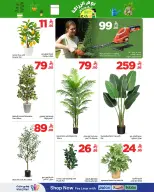 عروض وهج مارت السعودية من ٢٦ شوال حتى ٣ ذو القعدة ١٤٤٧ هـ (١٤ إلى ٢٠ أبريل ٢٠٢٦) عروض يوم الزراعة - وهج مارت - السعودية - 14 ابريل 2026 – 20 ابريل 2026 - صفحة 2