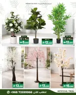 عروض أيه أند أتش عمان من ١٣ حتى ٢١ أبريل ٢٠٢٦ عروض ديكورات المنزل - أيه أند أتش - عمان - 13 ابريل 2026 – 21 ابريل 2026 - صفحة 2