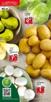 Ofertas de Dia España de 15 a 21 abril 2026 Gran apertura -20% - Dia - España - 15 abril 2026 – 21 abril 2026 - Página 4