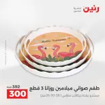 عروض أدوات المطبخ فى رنين من ١٧ حتى ١٨ أبريل ٢٠٢٦ - صفحة 29