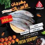 عروض مهرجان الأسماك فى المحلاوى ماركت من ١٦ حتى ١٧ أبريل ٢٠٢٦ - المحلاوى ماركت - مصر - 16 ابريل 2026 – 17 ابريل 2026 - صفحة 3