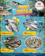 Grand & Al Rawabi Qatar offers from 16 to 17 April 2026 Fish deals - Grand & Al Rawabi - Qatar - 16 April 2026 – 17 April 2026 - Page 1