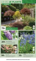 عروض كارفور فرنسا من ١٤ حتى ٢٧ أبريل ٢٠٢٦ زراعة الحدائق والأثاث - كارفور - فرنسا - 14 ابريل 2026 – 27 ابريل 2026 - صفحة 7