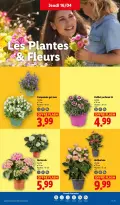 Offres Lidl France de 16 à 22 avril 2026 Les promos de la semaine - Lidl - France - 16 avril 2026 – 22 avril 2026 - Page 25