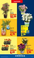 Offres Lidl France de 16 à 22 avril 2026 Les promos de la semaine - Lidl - France - 16 avril 2026 – 22 avril 2026 - Page 27