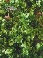 عروض تيسكو المملكة المتحدة من ١ حتى ٣٠ أبريل ٢٠٢٦ العروض الأسبوعية - تيسكو - المملكة المتحدة - 1 ابريل 2026 – 30 ابريل 2026 - صفحة 27