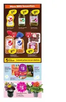 Ofertas de Giant Tiger Canadá de 15 a 21 abril 2026 Ofertas especiales para ti - Giant Tiger - Canadá - 15 abril 2026 – 21 abril 2026 - Página 4