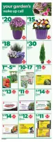 Ofertas de Independent Grocer Canadá de 16 a 22 abril 2026 Folleto semanal del supermercado independiente - Independent Grocer - Canadá - 16 abril 2026 – 22 abril 2026 - Página 11