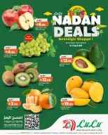 Lulu offers in Eastern Province from 2 to 4 Dhuʻl-Qiʻdah 1447 AH (19 – 21 April 2026) Nadan Deals - Page 1