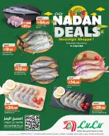 Lulu offers in Eastern Province from 2 to 4 Dhuʻl-Qiʻdah 1447 AH (19 – 21 April 2026) Nadan Deals - Page 3