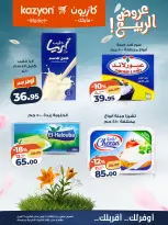 Kazyon Market Egypt offers from 21 to 27 April 2026 Tuesday offer - Page 16