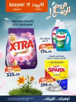 Kazyon Market Egypt offers from 21 to 27 April 2026 Tuesday offer - Page 24